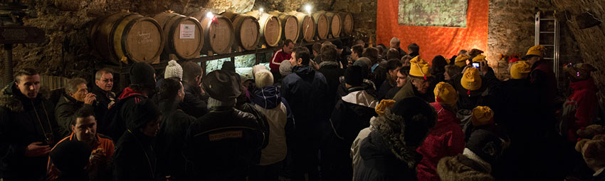 Aujourd’hui regroupés autour de six AOC, quatre géographiques – Arbois, Château-Chalon, L’Etoile, Côtes du Jura -  et deux produits – Macvin du Jura et Crémant du Jura – le vignoble jurassien s’étire sur une bande discontinue de 80 km entre Champagne-sur-Loue au Nord, et Saint-Amour au Sud (Crédit photo D.R.)