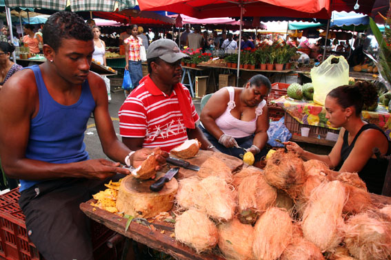 © David Raynal © David Raynal