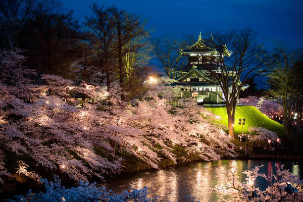 Toute la beauté éphémère de ce décor typiquement japonais - © Tohoku Tourism Promotion Organization
