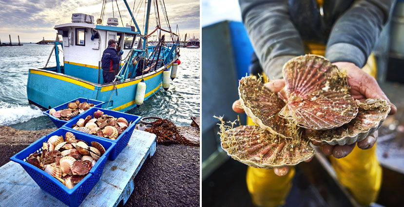 © Bertrand Duquenne © Bertrand Duquenne