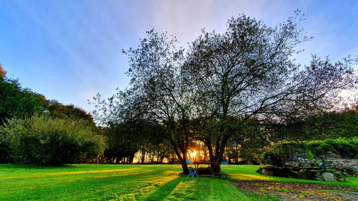 Le jardin Zen du Quistillic accueille des expositions culturelles permanentes - © DR