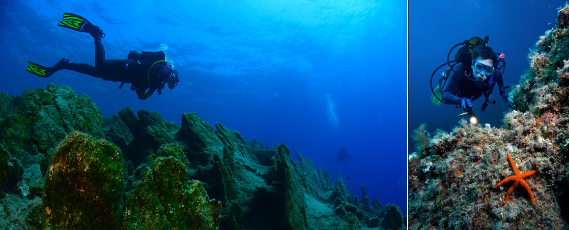 Les 10 plus beaux sites de plongée de Türkiye Les 10 plus beaux sites de plongée de Türkiye