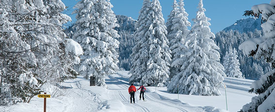 Skier en décalé, c'est la liberté en Isère