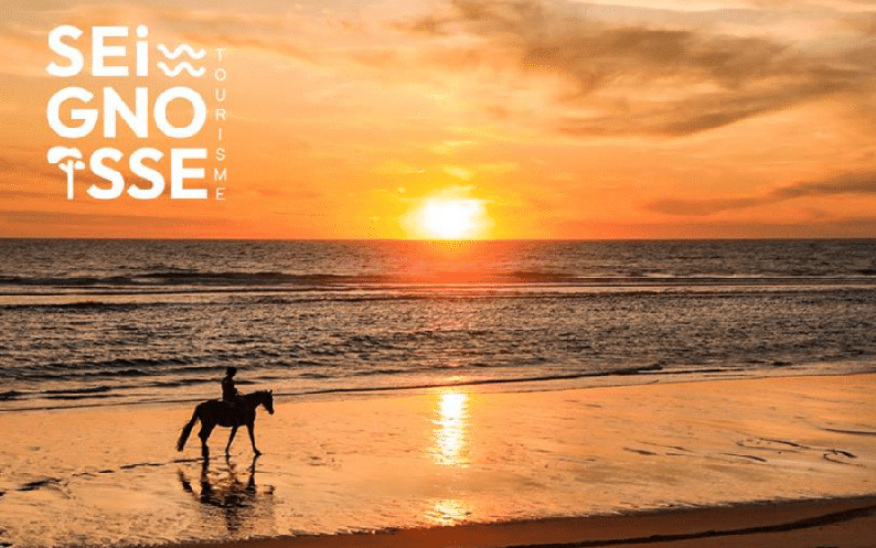Idées d’escapades nature à Seignosse - Côte sud des Landes