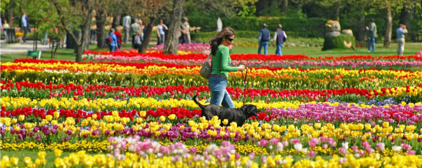 Arboretum Volčji Potok - © Slovenian Tourist Board Arboretum Volčji Potok - © Slovenian Tourist Board