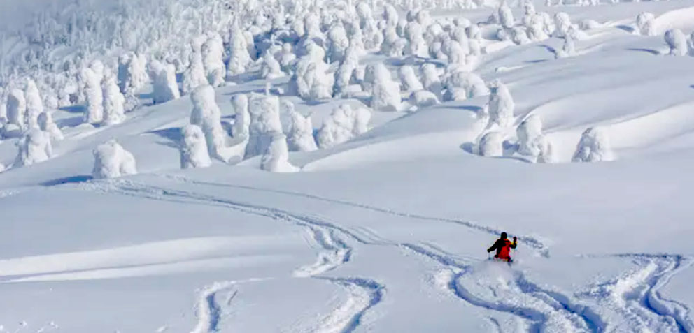À l’extrême Nord de Honshu, Hakkôda est réputée pour la pratique du ski et du snowboard en hors-piste dans la poudreuse de l’arrière-pays japonais - © JNTO