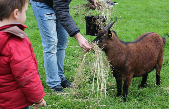 Cap sur Granville Terre et Mer pour des bons plans rentrée Cap sur Granville Terre et Mer pour des bons plans rentrée