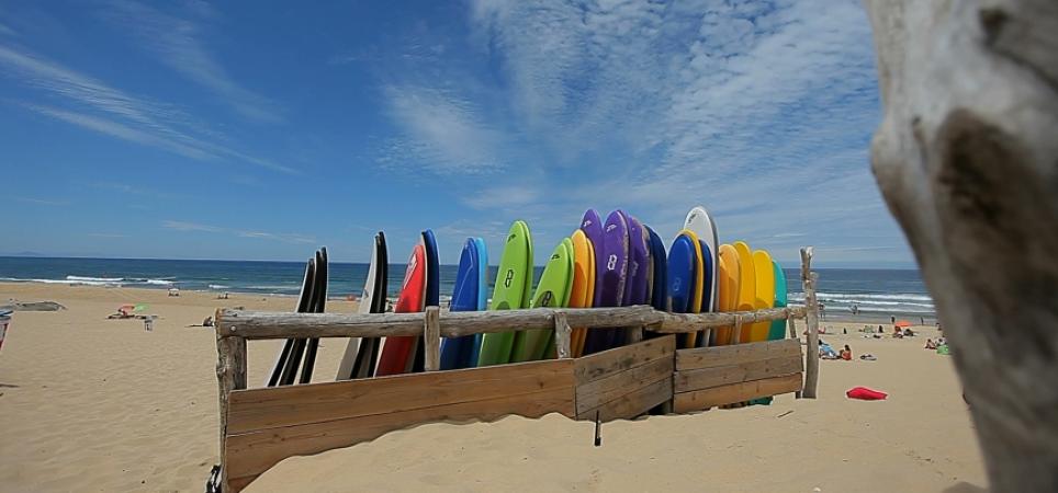 Le Printemps des Landes vous déroule le tapis rouge