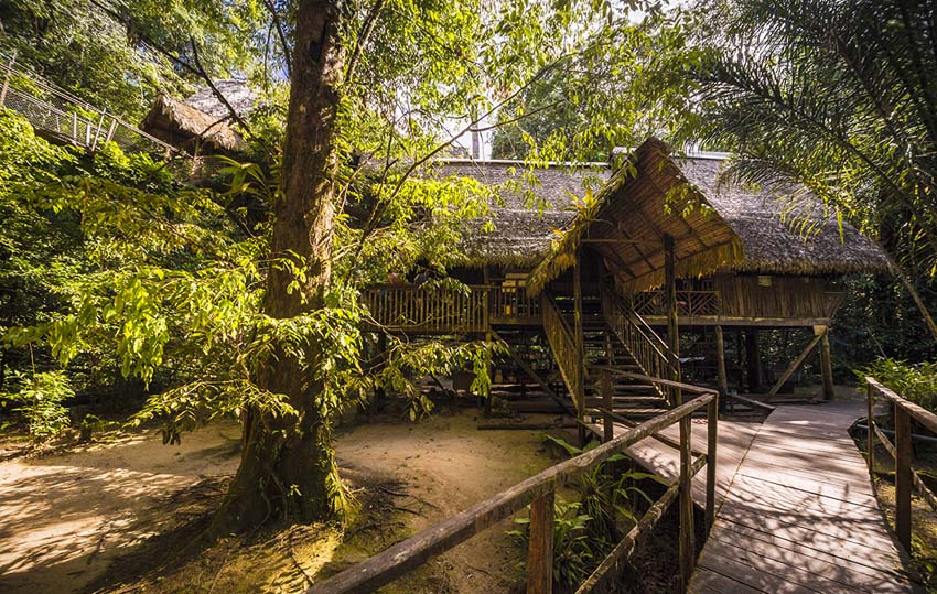 Camp Canopée - ©  A.Brusini/CTGuyane