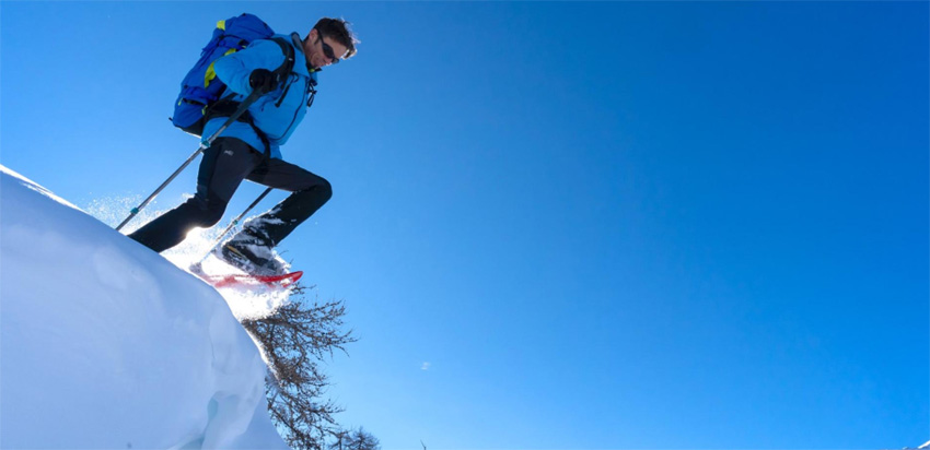 © Rogier Van Rijn © Rogier Van Rijn