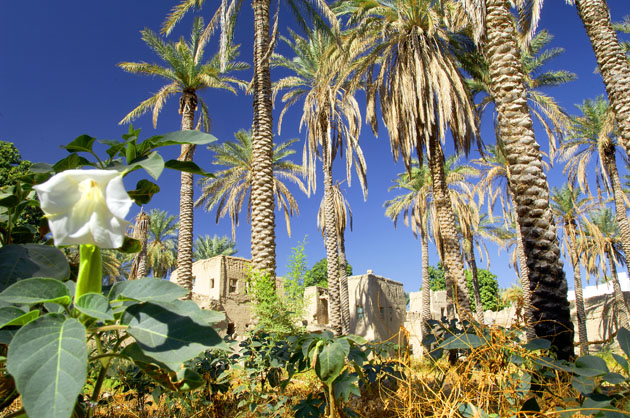 Massif du Hajjar - © Oman Tourisme