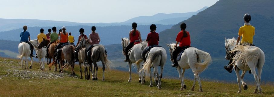 @ Eric Minodier/Vercors à cheval