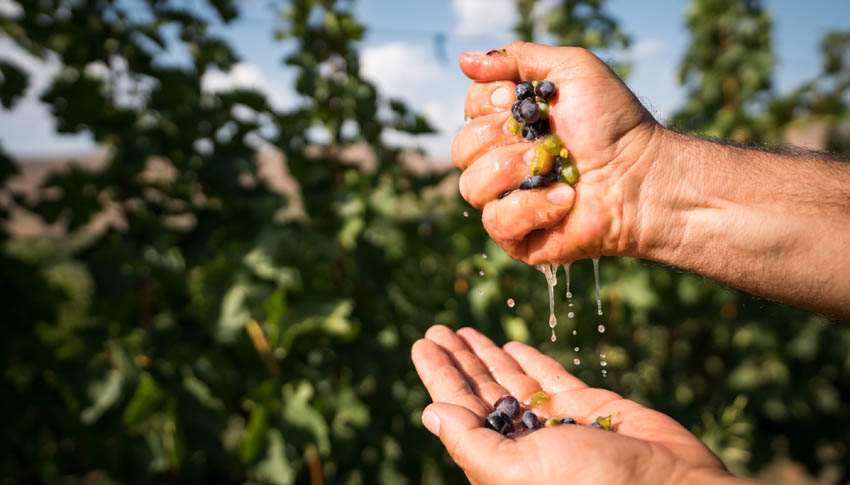 © Armenia Travel © Armenia Travel