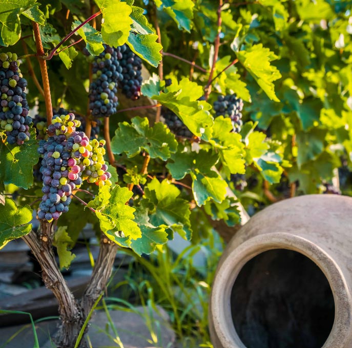 © Armenia Travel © Armenia Travel