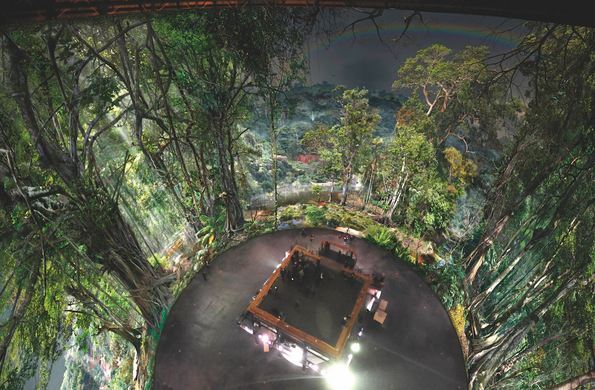 Amazonia : plongez dans la biodiversité amazonienne Amazonia : plongez dans la biodiversité amazonienne