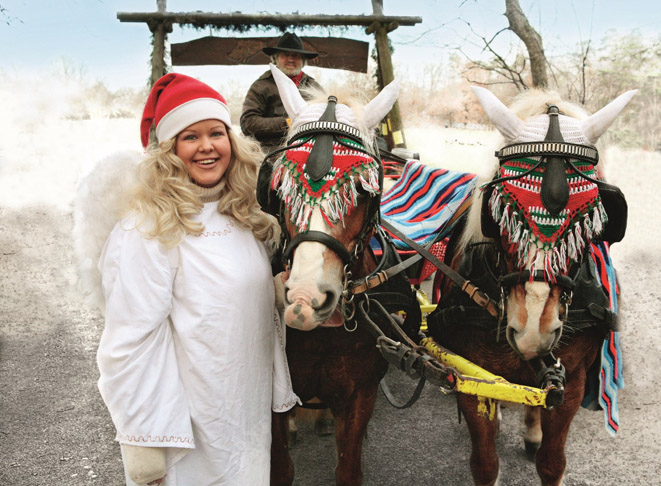 Féérie des marchés de Noël dans le Bade-Wurtemberg