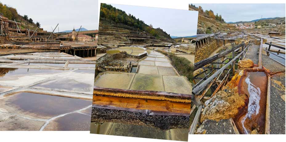 © Dominique Marché © Dominique Marché