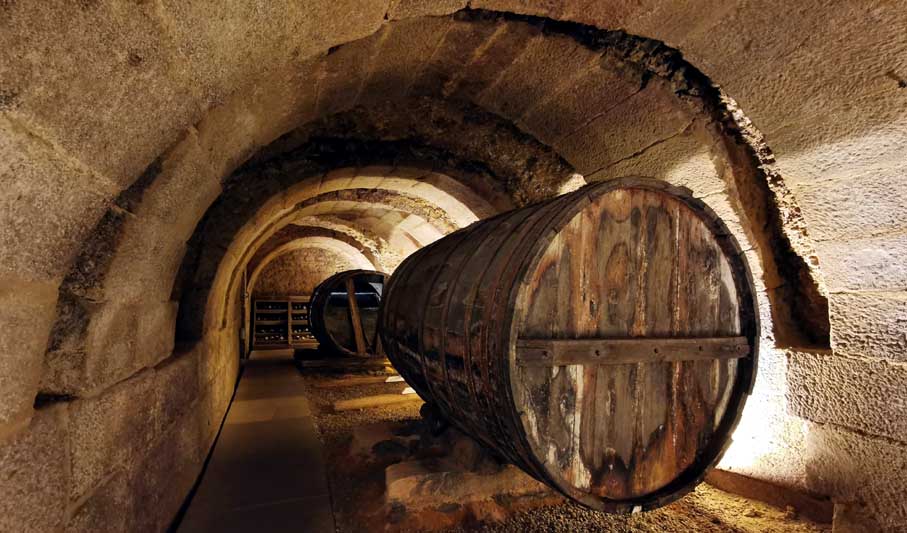 © Dominique Marché © Dominique Marché