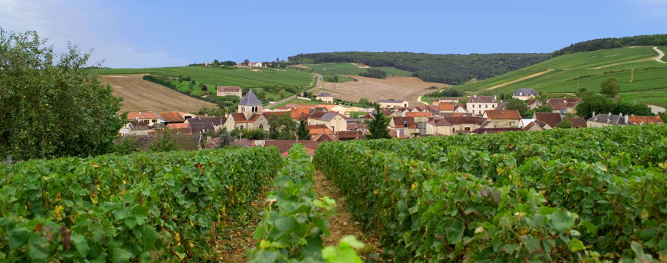 Balnot s/ Laignes - © Champagne Gremillet