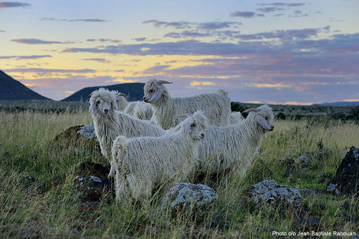 © JB Rabouan © JB Rabouan