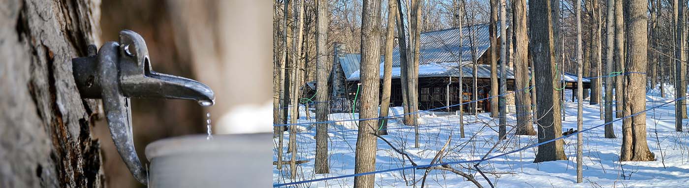 Alors que l’hiver cède doucement sa place au printemps, la région de Montréal au Québec célèbre l’un des temps forts de la saison : le temps des sucres. La fête peut alors commencer dans les cabanes à sucre bondées et transformées en auberges © Sucrerie de la Montagne/ David Raynal Alors que l’hiver cède doucement sa place au printemps, la région de Montréal au Québec célèbre l’un des temps forts de la saison : le temps des sucres. La fête peut alors commencer dans les cabanes à sucre bondées et transformées en auberges © Sucrerie de la Montagne/ David Raynal