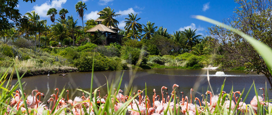 Necker Island