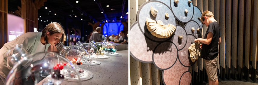 Découverte des arômes et de l'histoire de la Bourgogne et de ses sols - © Antoine Martel Découverte des arômes et de l'histoire de la Bourgogne et de ses sols - © Antoine Martel