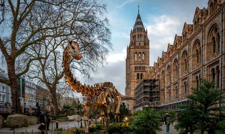 © Musée d'histoire naturelle à Londres
