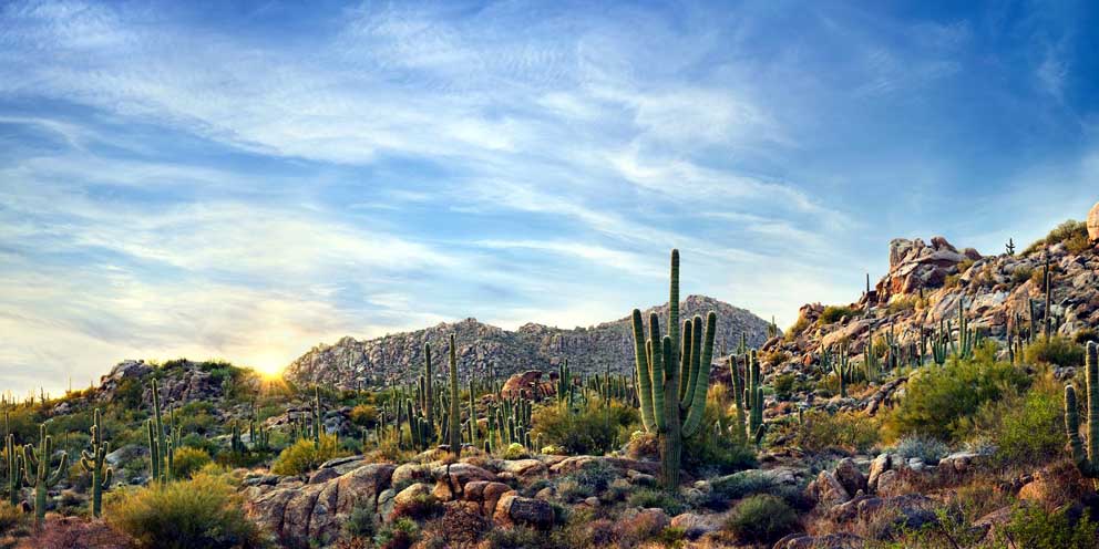 La réserve McDowell Sonoran de Scottsdale au lever du soleil - ©  Lonna Tucker pour Experience Scottsdale