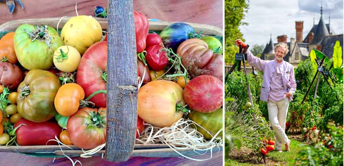 Plus de 750 variétés de tomates de toutes couleurs et formes - © Catherine Gary / Louis Albert de Broglie - © Borja Merino