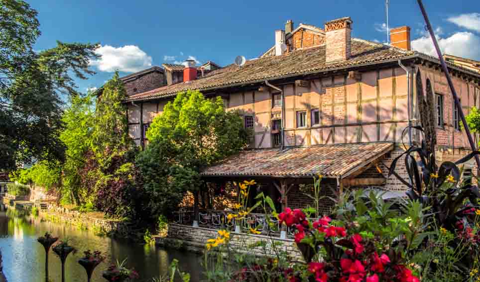 Berges fleuries sur les bords de la Chalaronne - © Michael Zeilfelder
