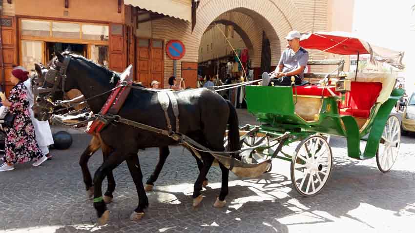 © JL Corgier © JL Corgier