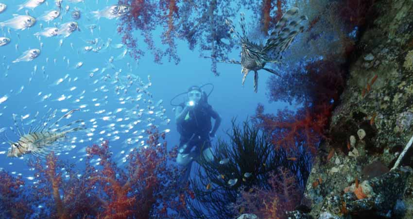 © Office du tourisme jordanien