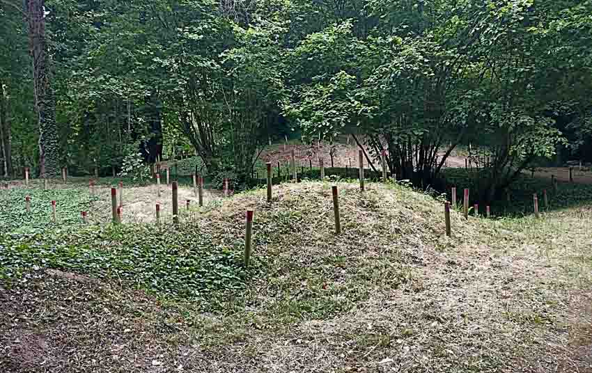 Ici, sous ces monticules de terre, gisent les rares vestiges  de ce que fut Craonne... - © Hubert Gouleret