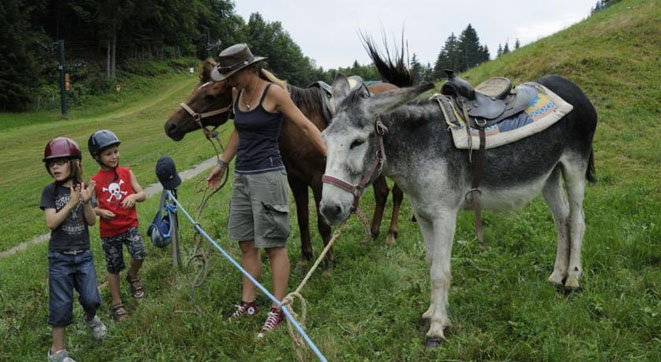 Des balades à dos d'ânes sont orgnanisées l'été - © Balcons du Mont-Blanc