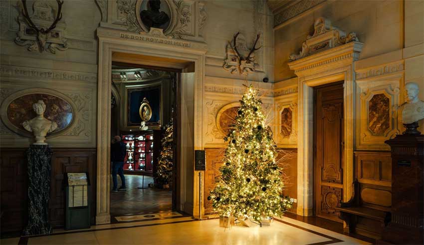 © Christophe Tanière