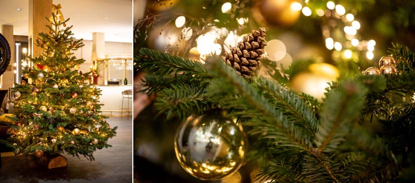 Décorations de Noël - @ JB Delerue