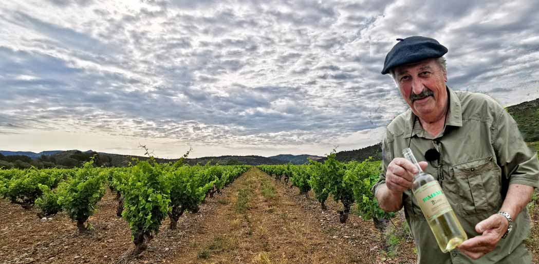 © Dominique Marché