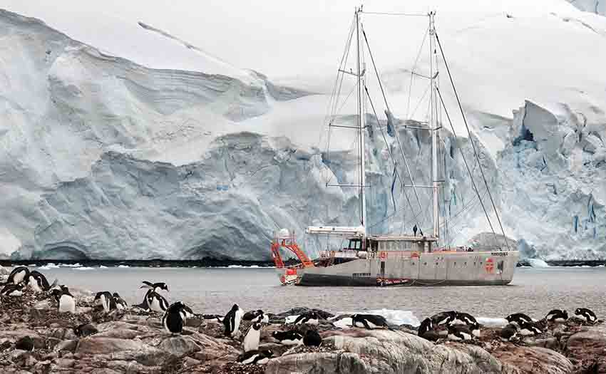 Persévérance - © Francis Latreille