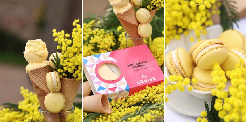 Glacier chez Louise - © La photographe sucrée salée