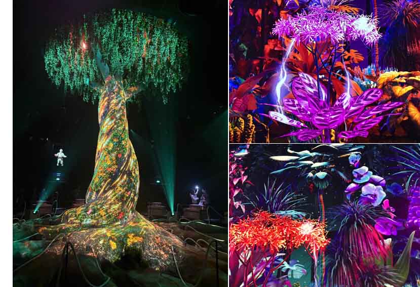 © Catherine Monbreault