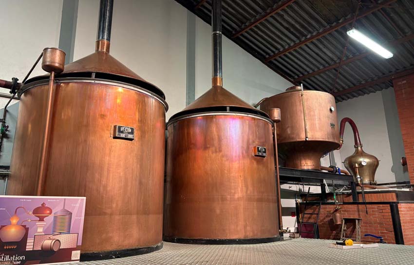 © Catherine Monbreault