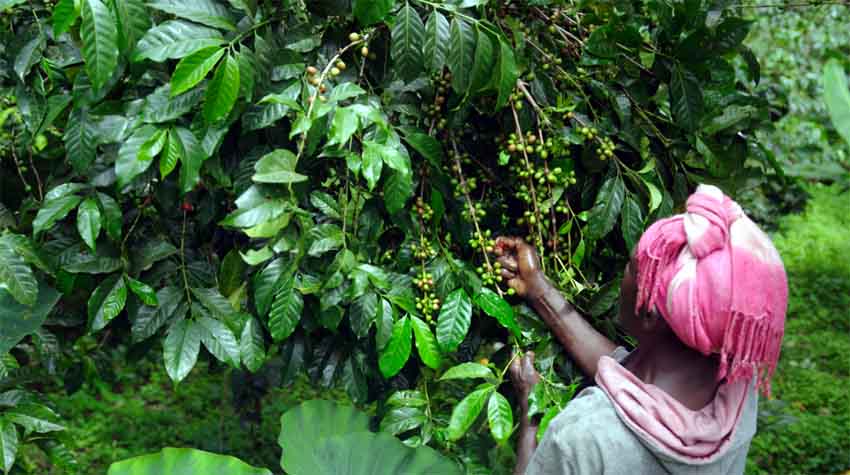 © Artisans du Monde