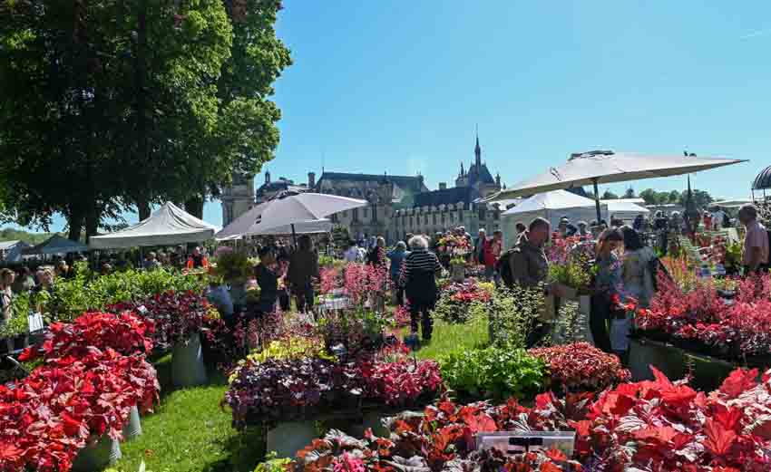 Les Journées des Plantes de Chantilly - © Muriel Vatrin