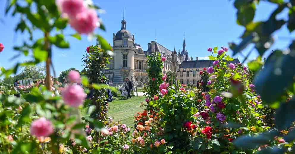 Les Journées des Plantes de Chantilly - © Muriel Vatrin