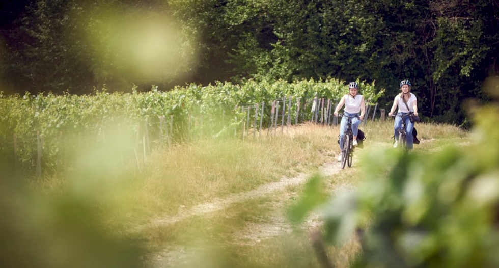 © OT Paysages de la Champagne