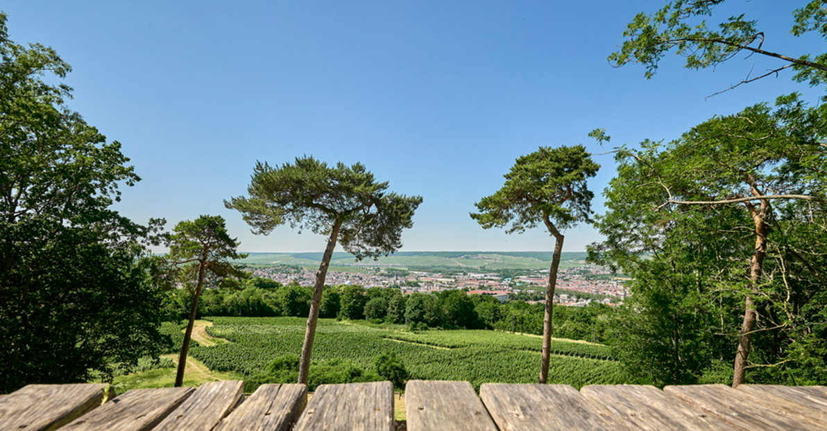 © OT Paysages de la Champagne
