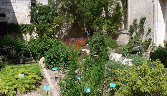 © Jardin Médiéval d'Uzès