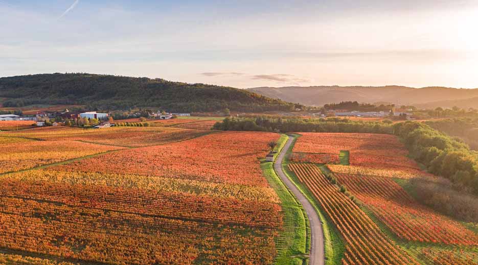 Vignoble de Cahors en automne à Parnac - © C. Novello/Lot Tourisme