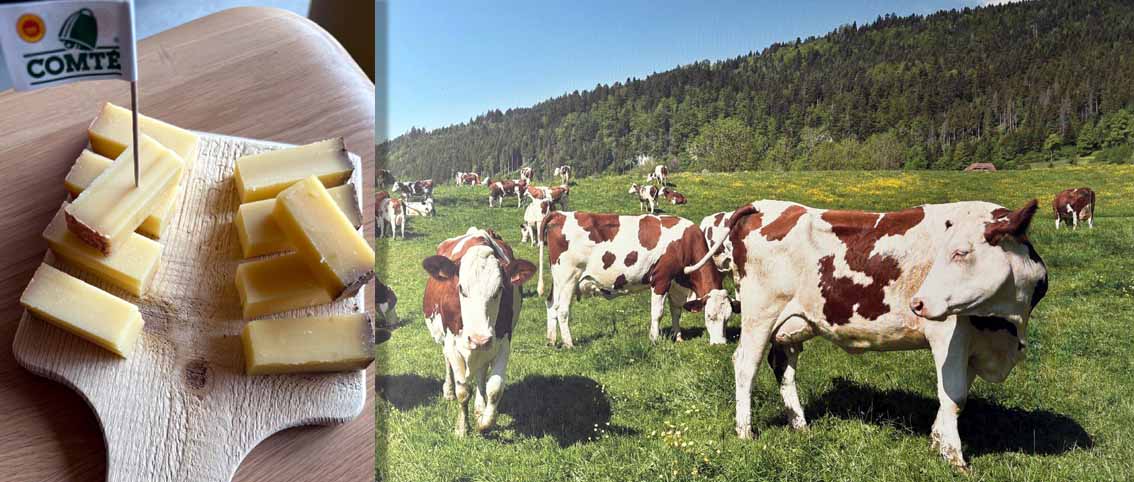 Balades gourmandes dans les Montagnes du Jura
